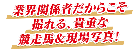 業界関係者だからこそ撮れる、貴重な競走馬＆現場写真!