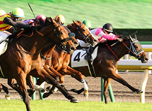 競馬で的中する確かな根拠01