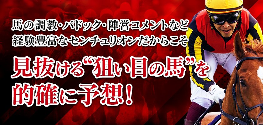 見抜ける狙い目の馬を適格に予想!
